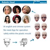 Artificial intelligent 3D TPE silicone Anime Sex Doll Sex Robot Talking Sex Dolls For Sale invented by Automatic Woman
